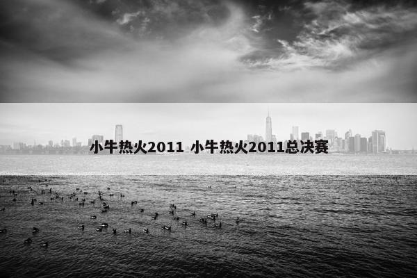 小牛热火2011 小牛热火2011总决赛