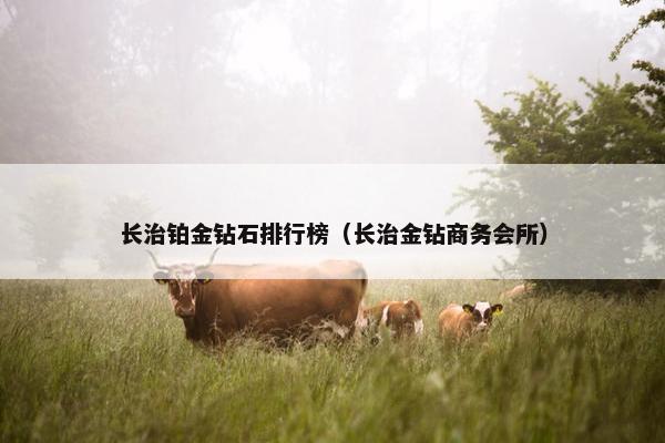 长治铂金钻石排行榜（长治金钻商务会所）