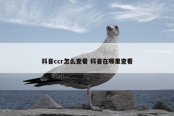 抖音ccr怎么查看 抖音在哪里查看