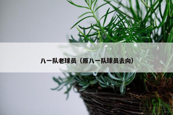 八一队老球员（原八一队球员去向）