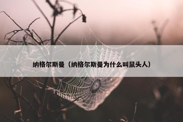 纳格尔斯曼（纳格尔斯曼为什么叫鼠头人）