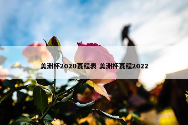 美洲杯2020赛程表 美洲杯赛程2022