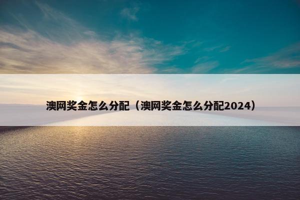 澳网奖金怎么分配（澳网奖金怎么分配2024）