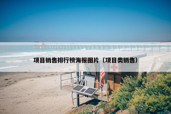 项目销售排行榜海报图片（项目类销售）