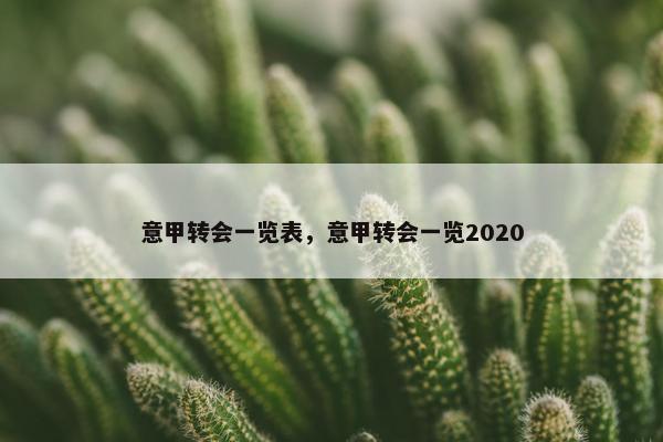 意甲转会一览表，意甲转会一览2020