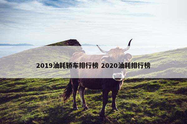 2019油耗轿车排行榜 2020油耗排行榜