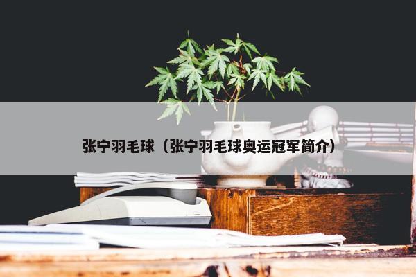 张宁羽毛球（张宁羽毛球奥运冠军简介）