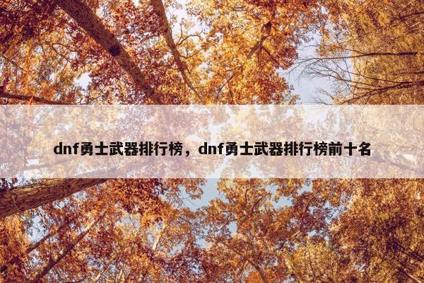 dnf勇士武器排行榜，dnf勇士武器排行榜前十名