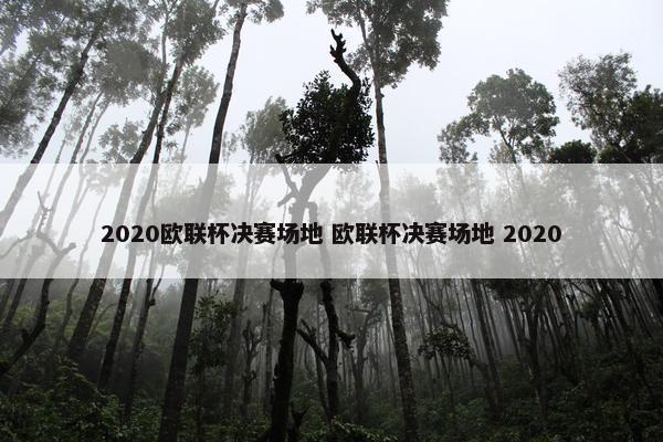 2020欧联杯决赛场地 欧联杯决赛场地 2020