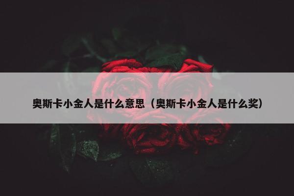 奥斯卡小金人是什么意思（奥斯卡小金人是什么奖）