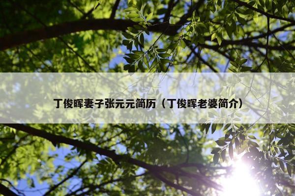 丁俊晖妻子张元元简历（丁俊晖老婆简介）