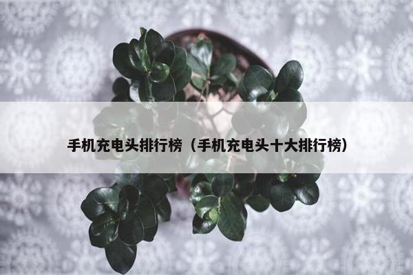 手机充电头排行榜（手机充电头十大排行榜）