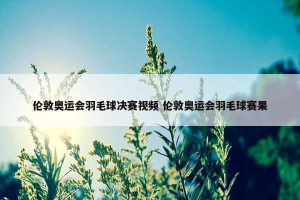 伦敦奥运会羽毛球决赛视频 伦敦奥运会羽毛球赛果