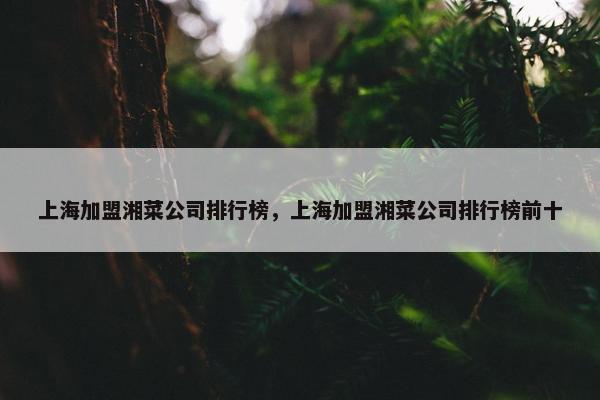 上海加盟湘菜公司排行榜，上海加盟湘菜公司排行榜前十