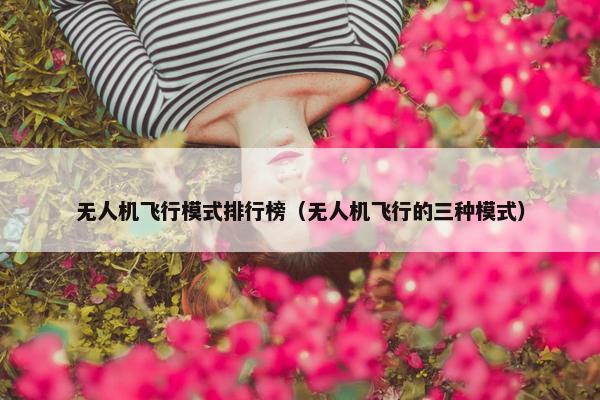 无人机飞行模式排行榜（无人机飞行的三种模式）