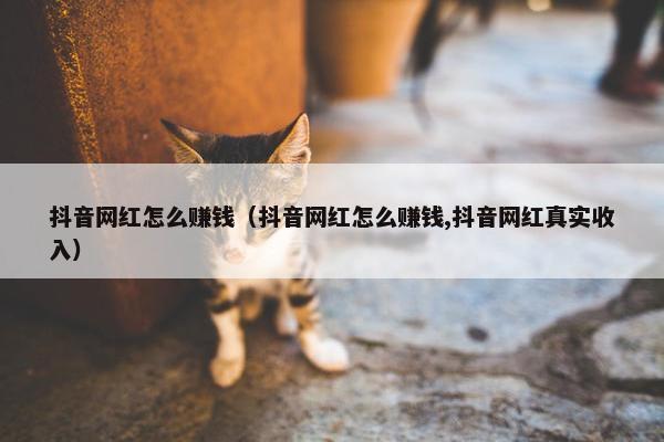 抖音网红怎么赚钱（抖音网红怎么赚钱,抖音网红真实收入）