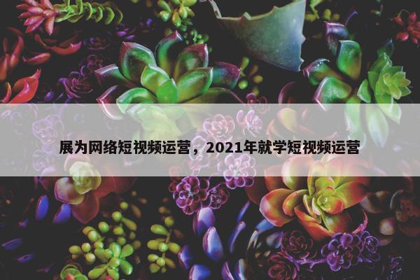 展为网络短视频运营，2021年就学短视频运营