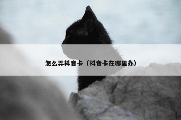 怎么弄抖音卡（抖音卡在哪里办）