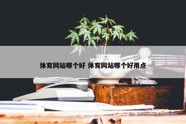 体育网站哪个好 体育网站哪个好用点