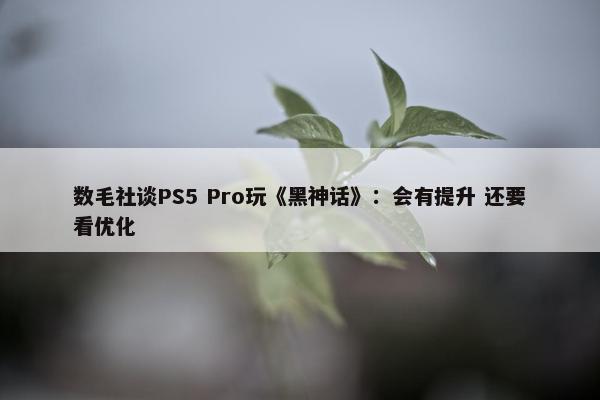 数毛社谈PS5 Pro玩《黑神话》：会有提升 还要看优化