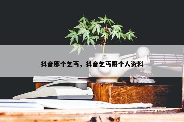 抖音那个乞丐，抖音乞丐哥个人资料