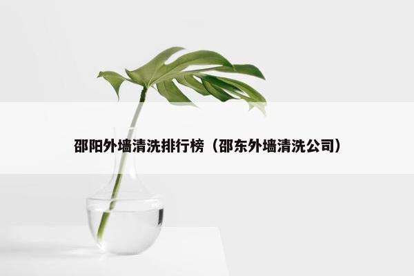 邵阳外墙清洗排行榜（邵东外墙清洗公司）