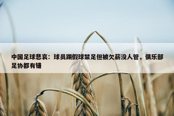 中国足球悲哀：球员踢假球禁足但被欠薪没人管，俱乐部足协都有错