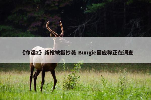 《命运2》新枪被指抄袭 Bungie回应称正在调查