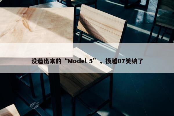 没造出来的“Model 5”，极越07笑纳了