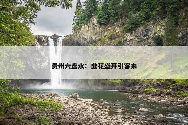 贵州六盘水：韭花盛开引客来