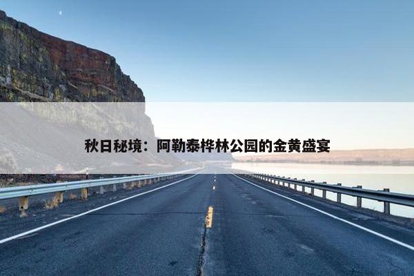 秋日秘境：阿勒泰桦林公园的金黄盛宴