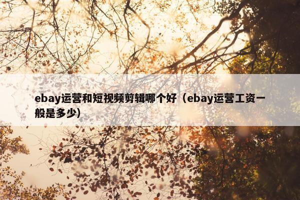 ebay运营和短视频剪辑哪个好（ebay运营工资一般是多少）