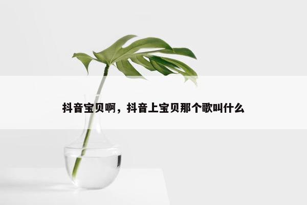 抖音宝贝啊，抖音上宝贝那个歌叫什么