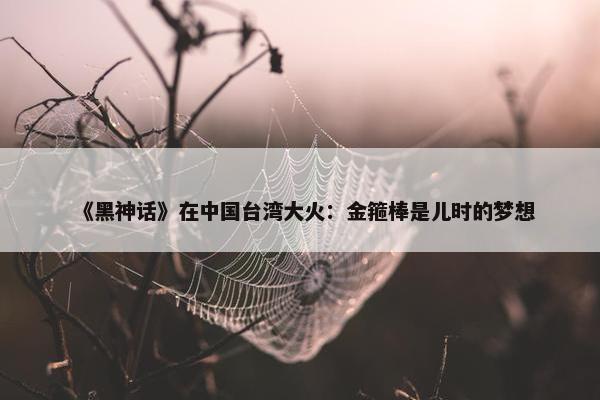 《黑神话》在中国台湾大火：金箍棒是儿时的梦想