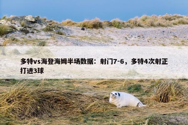 多特vs海登海姆半场数据：射门7-6，多特4次射正打进3球