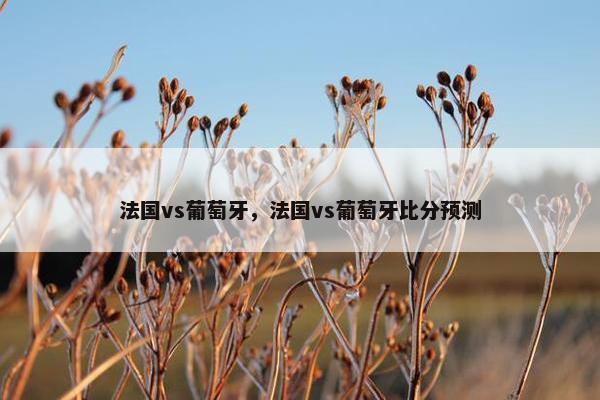 法国vs葡萄牙，法国vs葡萄牙比分预测