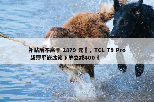 补贴后不高于 2879 元‏，TCL T9 Pro 超薄平嵌冰箱下单立减400‏