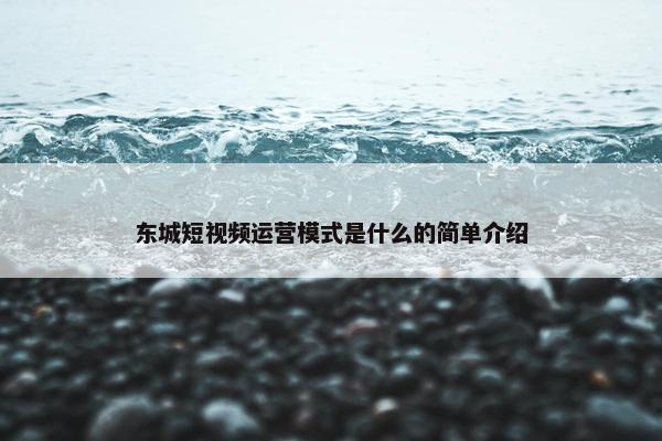 东城短视频运营模式是什么的简单介绍