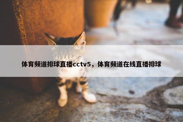 体育频道排球直播cctv5，体育频道在线直播排球