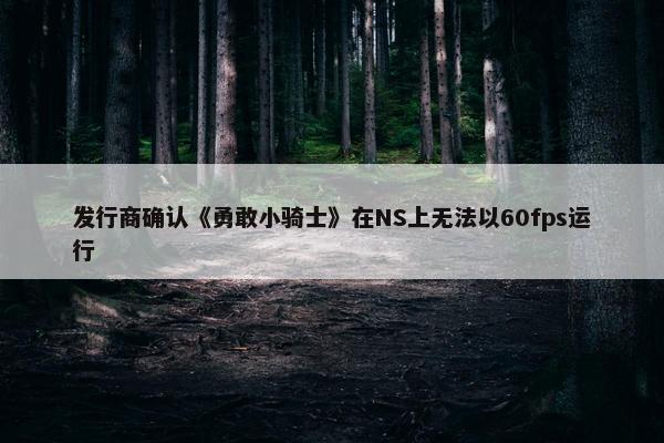 发行商确认《勇敢小骑士》在NS上无法以60fps运行