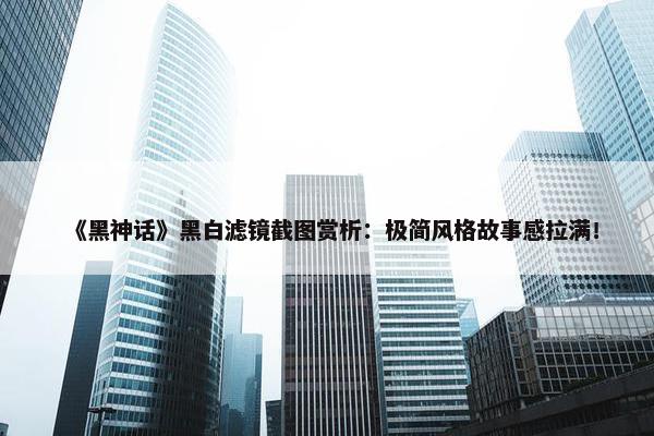 《黑神话》黑白滤镜截图赏析：极简风格故事感拉满！