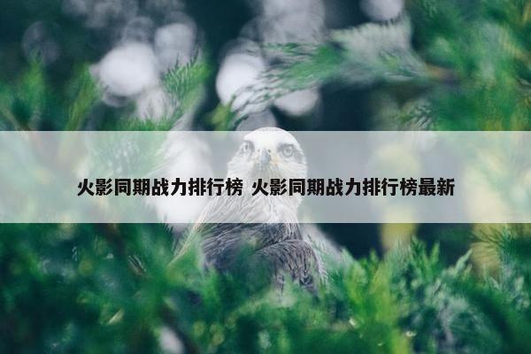 火影同期战力排行榜 火影同期战力排行榜最新