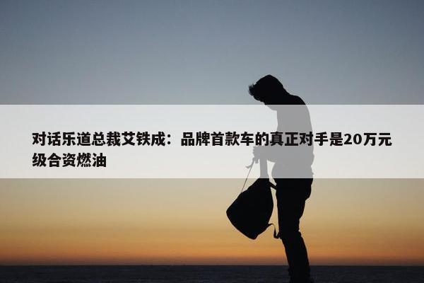 对话乐道总裁艾铁成：品牌首款车的真正对手是20万元级合资燃油