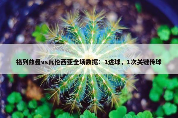 格列兹曼vs瓦伦西亚全场数据：1进球，1次关键传球