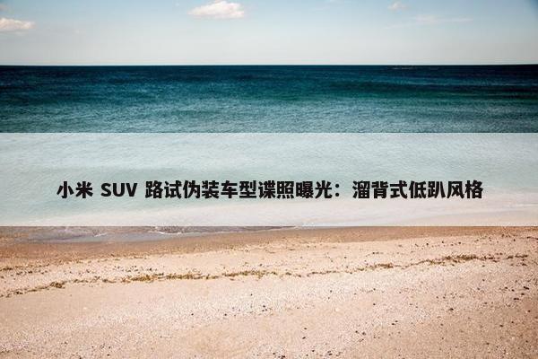 小米 SUV 路试伪装车型谍照曝光：溜背式低趴风格