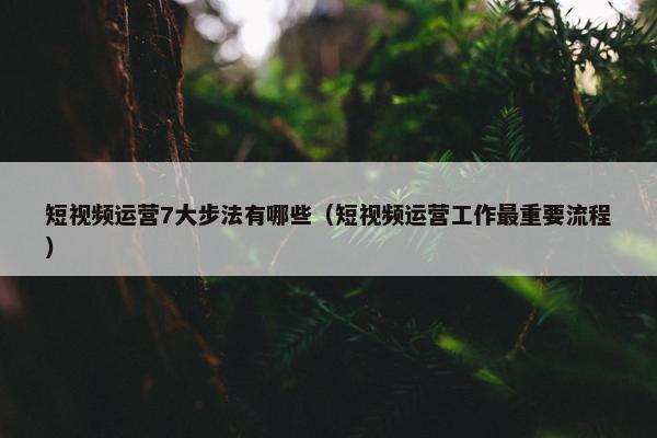 短视频运营7大步法有哪些（短视频运营工作最重要流程）