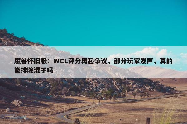 魔兽怀旧服：WCL评分再起争议，部分玩家发声，真的能排除混子吗