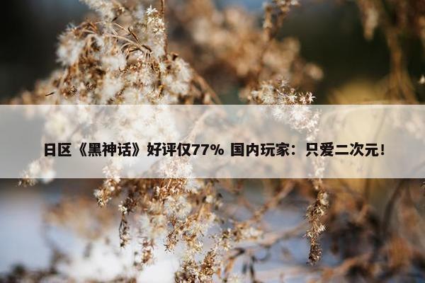 日区《黑神话》好评仅77% 国内玩家：只爱二次元！