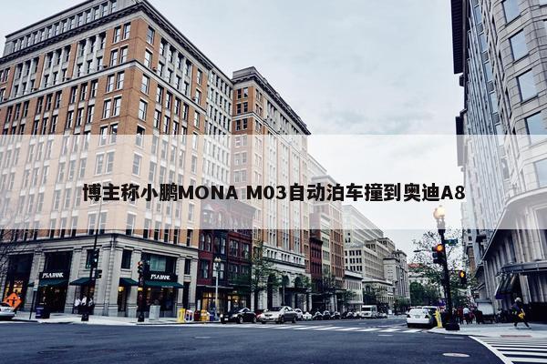 博主称小鹏MONA M03自动泊车撞到奥迪A8