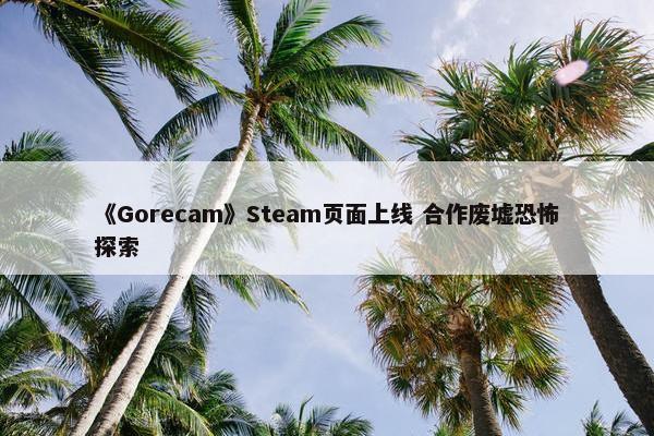 《Gorecam》Steam页面上线 合作废墟恐怖探索